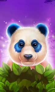 Luck of Panda: Bonus Combo