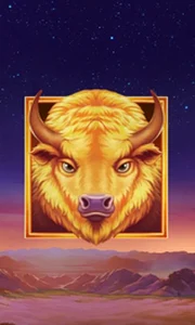 Buffalo's Sun 2